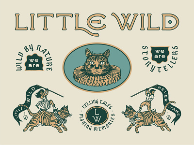 Little Wild - Identity