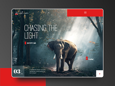 Wild.Com clean composition dailyui dark ui design elephant ipad landing page logo photography red typogrphy ui web web page wild wild animal wild life photography