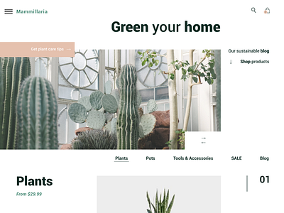 Mammillaria Plants design flat landing ui user interface design user interface ui ux web