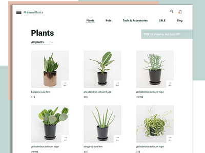 Mammillaria Plants – E-commerce Website design e commerce e commerce design flat landing ui user interface design user interface ui ux web