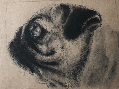 Wip pug