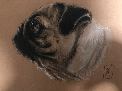 Finished puggo pugs