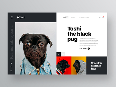 Toshi , the black pug