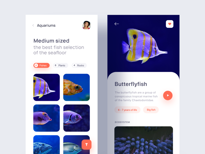 540+ Aquarium Design App Gratis Terbaru