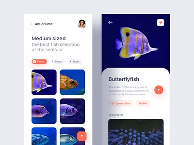 Aquarium Concept agency app app concept design ecommerce inspiration interaction landing page minimalist ui ui design ui ux ui ux design ui ux designer ux ux design ux designer web web design web design agency