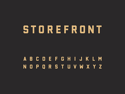 Storefront Typeface design font sans sans serif sans serif type typeface