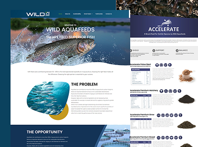 Wild Aqua Feeds - Website Design & Development wordpress customization