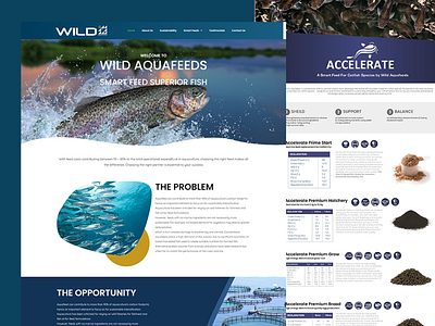 Wild Aqua Feeds - Website Design & Development