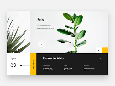 Raika Plant explore landing minimal plant product web webdesign white yellow