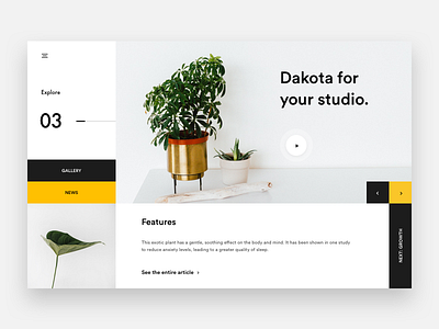 Dakota Plant - #2 Layout brown explore landing minimal plant product web webdesign white yellow