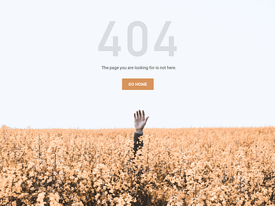 404 design web