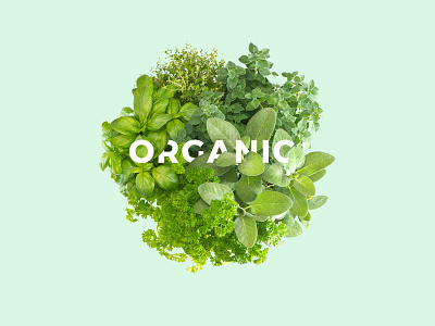 Organic design graphicdesign green leaf natural organic type web website