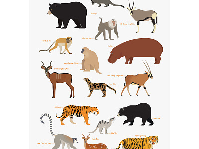 Animals animals art artwork character design digital illustration drawing illustration vector zoo