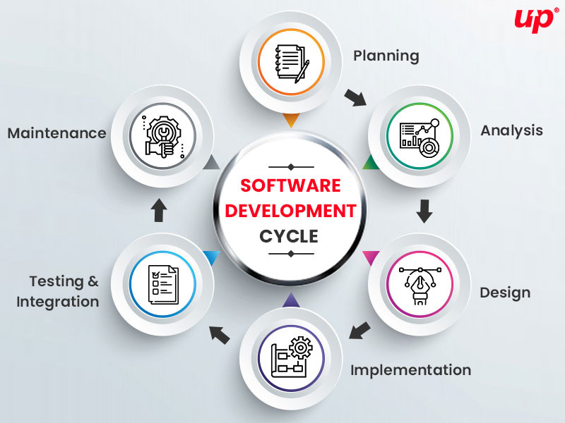 Here's how Software Development Cycle works! by Fluper on Dribbble