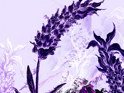 Illustration packaging branding flower illustration lavender logo packaging