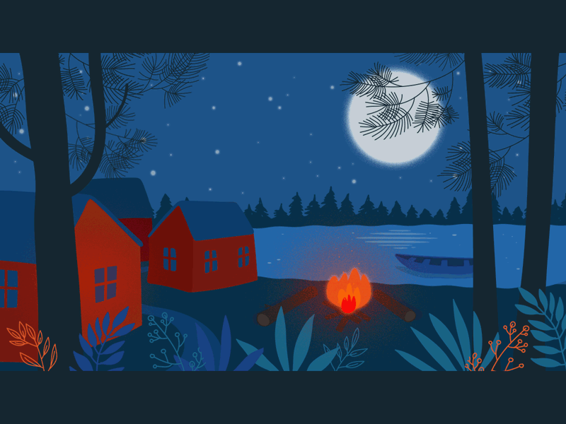 calm night aftereffects animated animation forest gif illustration motion design stars