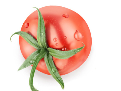 Tomato 3d g.ua psyho.ua tomato