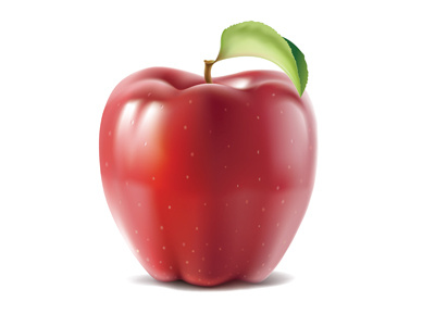 Apple apple fruit illustration leaf red vector