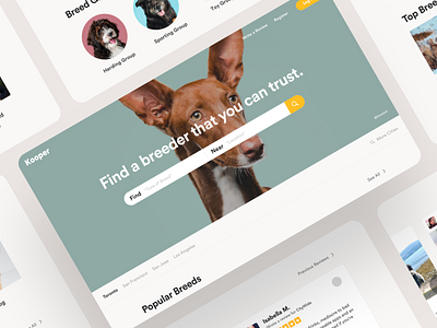 Kooper adopt app customer dog feedback recommendation review service startup ui ux web