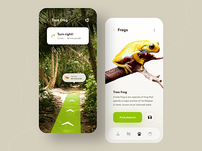 Discovering Animals App 🐸🗺 animals app ar app clean colors concept design discover frog green ios minimal mobile mobile app ui yellow zoo