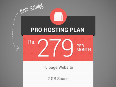 Pro Hosting Plan hosting plan pricing roboto table ui