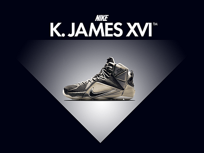 NIKE Shoe reBrand Concept lebron lighting nike shoes swoosh