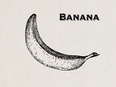 Banana Illustration banana handdrawn illustration
