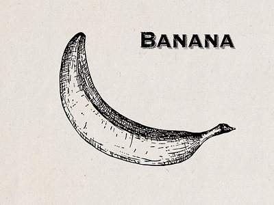 Banana Illustration