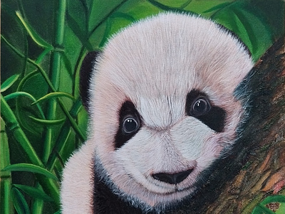 Cuddly Panda animalart art canvas fine art painting portrait