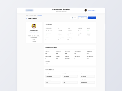 Customer Account Overview design minimal ui web