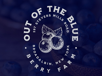 Out of the Blue Berry Farm americana blueberry farm logo type