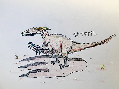 Day 22 - Trail