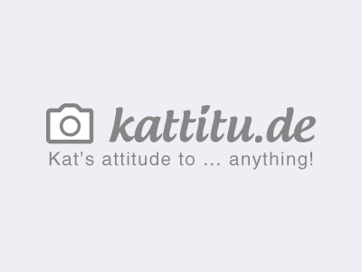 kattitu.de: logo with claim