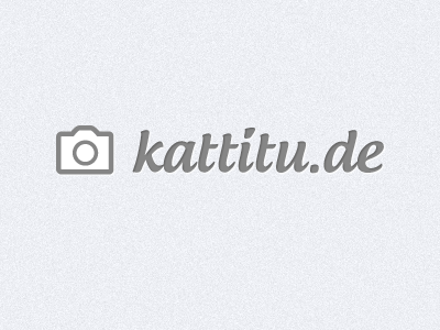 kattitu.de: logo without claim claim kattitude logo photography