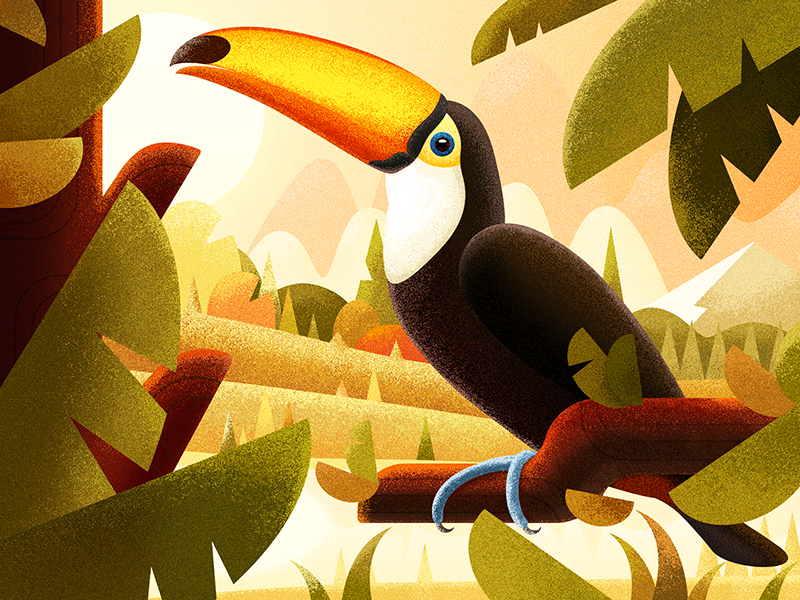 Ramphastos toco by ICEH on Dribbble