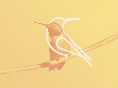 KOA Tours bird hummingbird logo logomark mark minimal pictorial