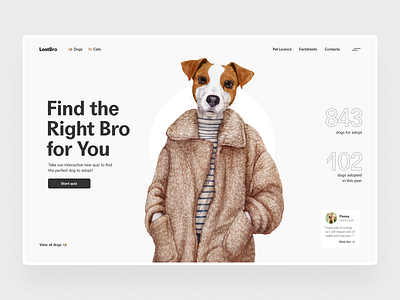 LostBro clean design dog landing minimalistic modern pet ui ui design web webdesign website