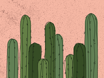 Lookin Sharp cactus debut firstshot hello texture
