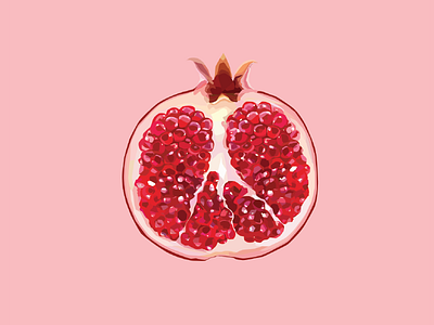 Pomegranate food fruit fun illustration illustrator pink red yum