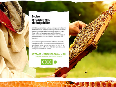 Honey web site design 9