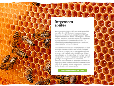 Honey web site design 10