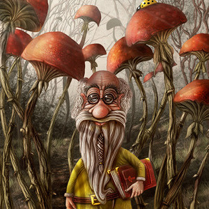 Aalbert Van Edeborg From The Mushroom Mountain 1000 dwarf forest mountain mushroom old