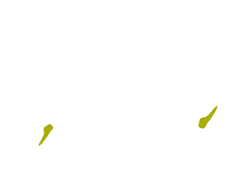 IN Food Logo Animation animation blob food gif green in logo motion