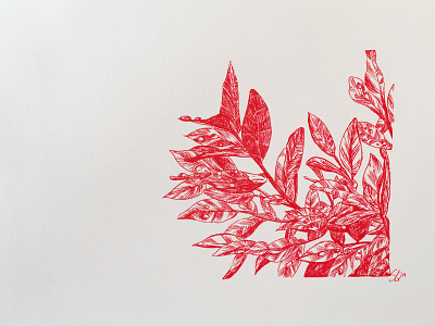 Inktober 14_Foliage drawing foliage illustration ink drawing ink illustration inktober inktober2018 pen ink red ink