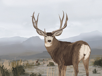 Ensia Voices Illustration | Muley Buck