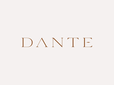 Dante branding custom design logo logodesign minimal simple typography vector