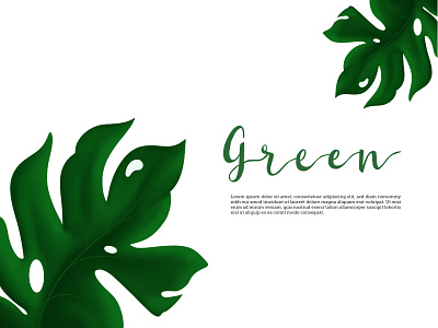 Green Frame botanical branding calligraphy dribbble frame leaf photo photoframe procreate typography ui vector