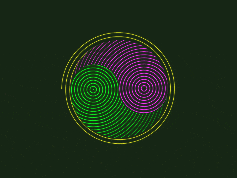 Yin Yang_02 after effects animation colors dribbble gif illusion infinite loop loop animation motion motion graphics trippy