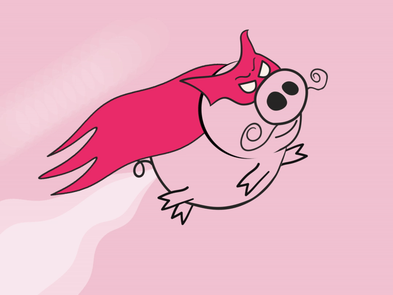 Year of the pig design animated illustration vector flat after effects ae 2d motion animation