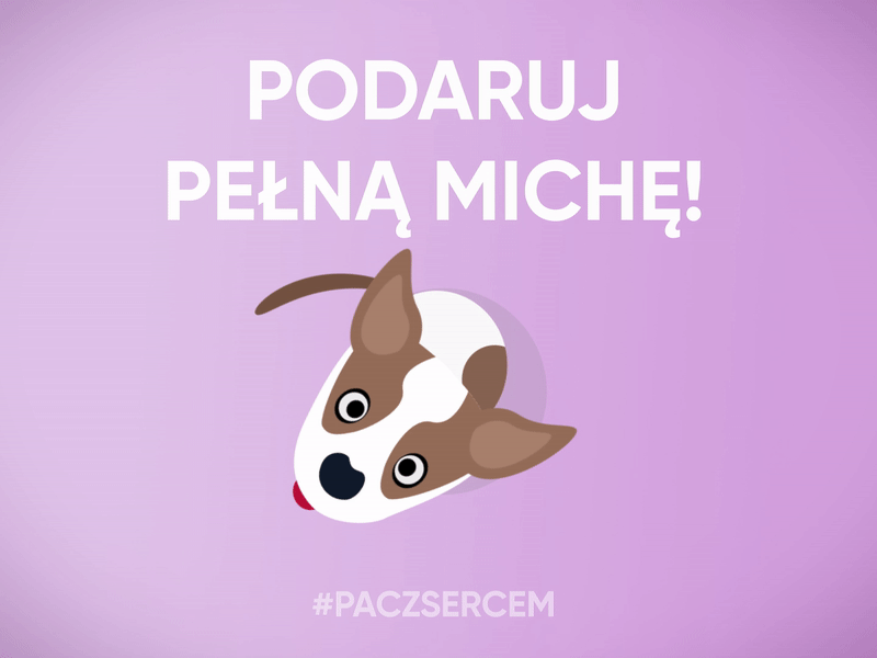 Podaruj pelna miche! design flat after effects animation motion 2d dog